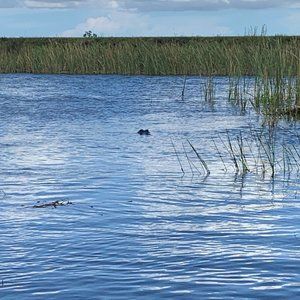 Meet your Posher, Kari